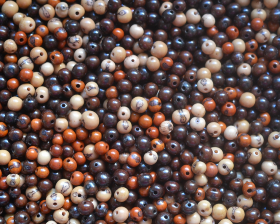 Açaí super premium - Tons de marrom - 500 sementes